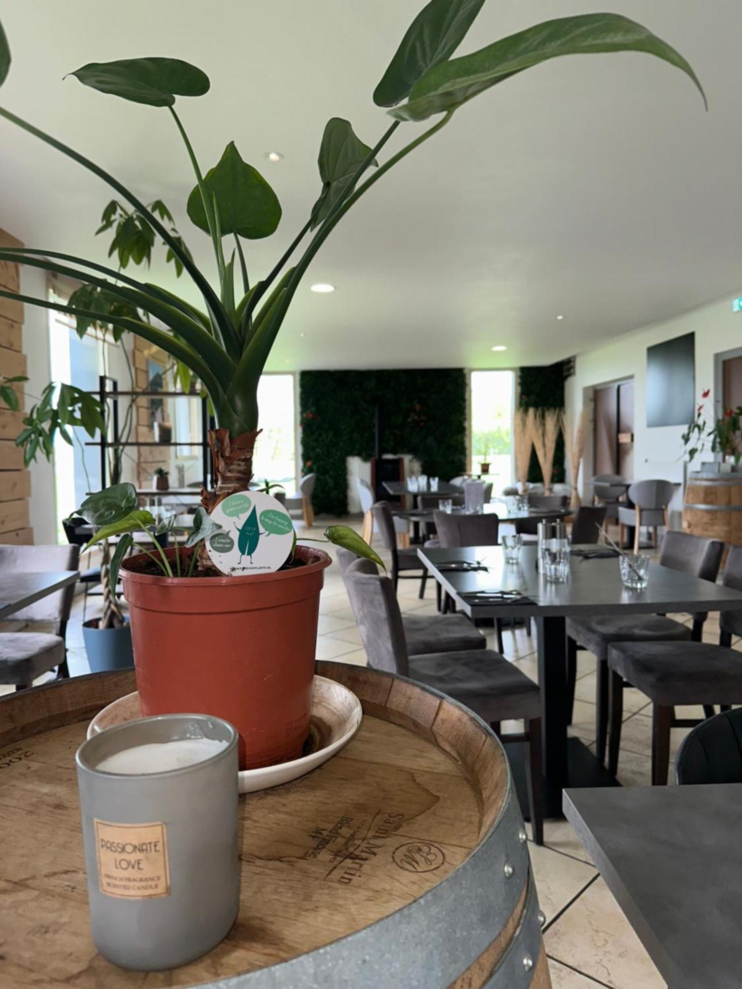 Logis Hotel Volcan Sancy Nébouzat Esterno foto